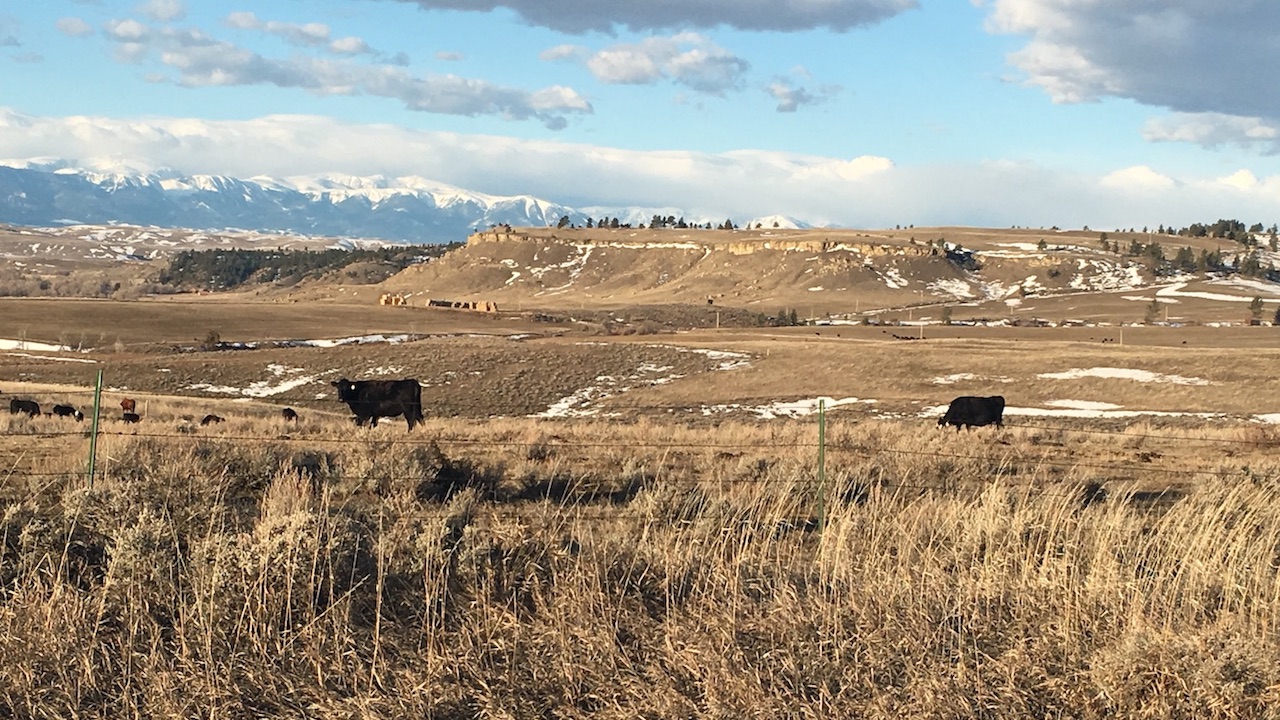 A cold and snowy winter was a challenge for some ranchers, especially in north-central Montana where February brought well over 200 percent of normal snowfall.