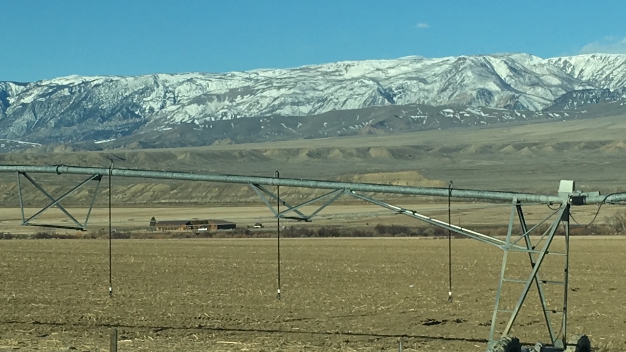 Cool spring conditions should help maintain mountain heavy snowpack across Montana—welcome news for irrigated operations.